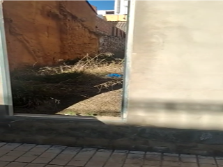 GUZMAN EL BUENO 2