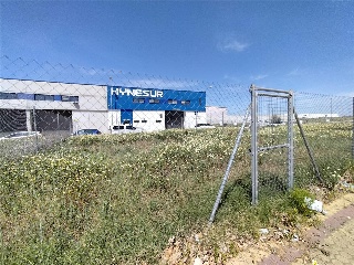 Otros en venta en Alcalá De Guadaíra