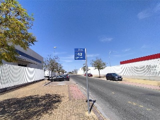LOS PALILLOS DIECISEIS 2