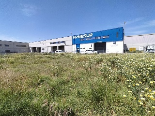 LOS PALILLOS DIECISEIS 23