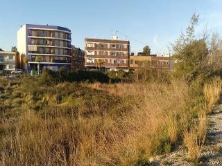 SAN VICENTE FERRER 4