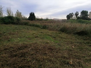 SAN VICENTE FERRER 6
