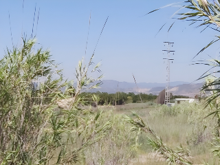 SECTOR SUNP-4 PLAYA DE SAGUNTO 2