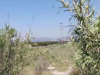 SECTOR SUNP-4 PLAYA DE SAGUNTO 3