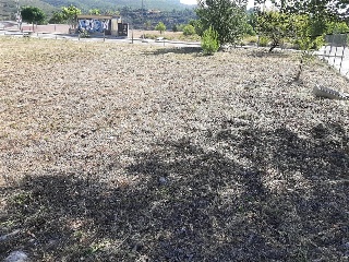 JOSE VICENTE IBAÑEZ MORENO 9