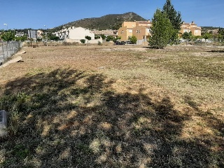 JOSE VICENTE IBAÑEZ MORENO 10