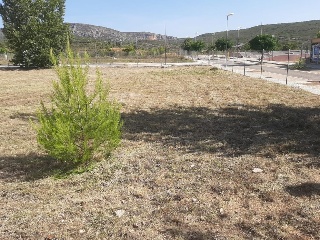 JOSE VICENTE IBAÑEZ MORENO 12