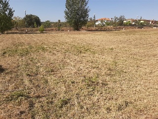 JOSE VICENTE IBAÑEZ MORENO 14