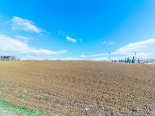 DE CHOZAS DE CANALES A RECAS 8