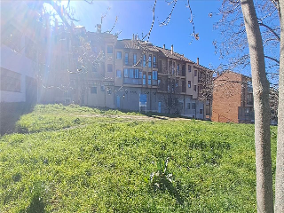 ROMA 3