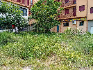 ROMA 7