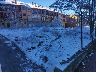 ROMA 11