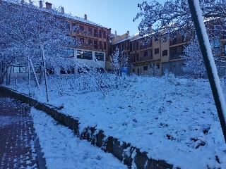 ROMA 12