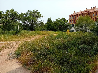 ROMA 14