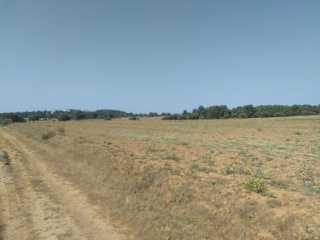 LOMAS NORTE 2