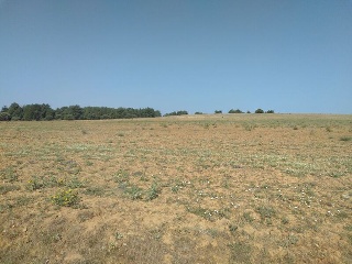 LOMAS NORTE 5