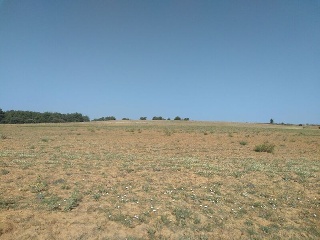 LOMAS NORTE 6
