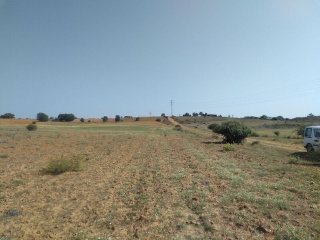 LOMAS NORTE 9