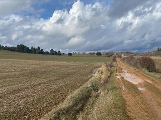 LOMAS NORTE ,POLIGONO 529, PARCELA 3