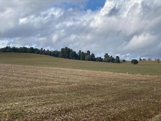 LOMAS NORTE ,POLIGONO 529, PARCELA 4