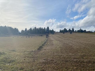 LOMAS NORTE ,POLIGONO 529, PARCELA 6