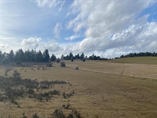 LOMAS NORTE ,POLIGONO 529, PARCELA 8