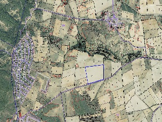LOMAS NORTE, POLÍGONO 30, PARCELA 12