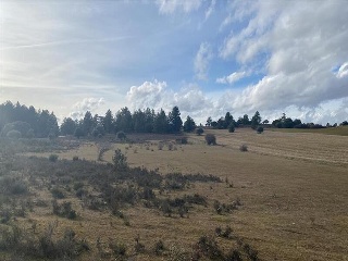 PARAJE SANTA TECLA. Polígono 529 Parcela 73 3