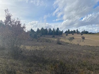 PARAJE SANTA TECLA. Polígono 529 Parcela 73 6