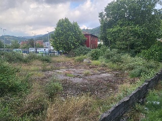 UGARTE 2