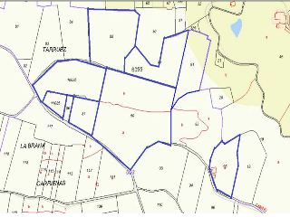 UGARTE 14