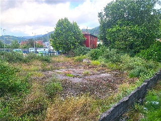 UGARTE 24