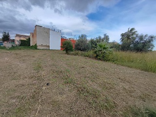 Pisos banco Sueca