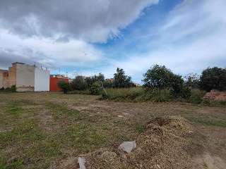 Partida MATERAL Polig. 40 parcela 290 5