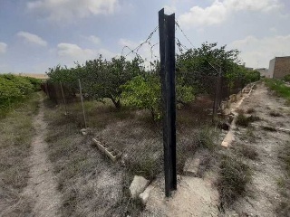 Partida MATERAL Polig. 40 parcela 290 11