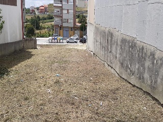 PASTORIZA 5