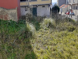 PASTORIZA 6