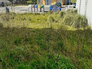 PASTORIZA 8