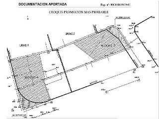 PASTORIZA 11