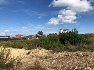 PINOMAR 3