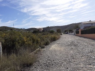 PINOMAR 5