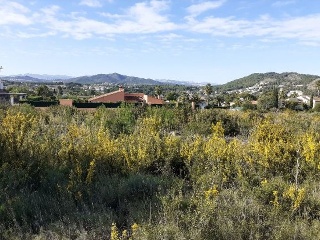 PINOMAR 8