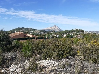 PINOMAR 9