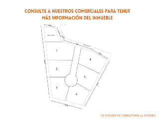 PINOMAR 12