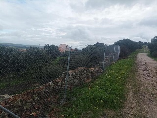 MARIA ANTONIA FUERTES 12