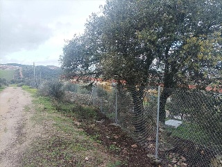 MARIA ANTONIA FUERTES 14