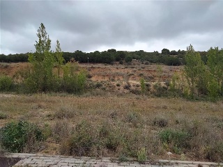 MANZANA R-8.1 4