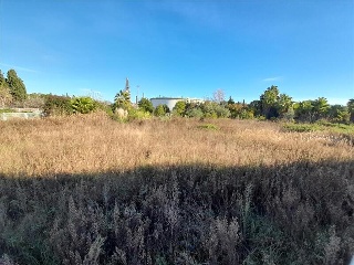 POLIGONO 11 3