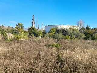 POLIGONO 11 5