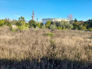 POLIGONO 11 8